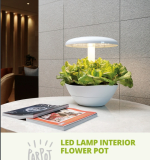 Korean Led lamp interior flower pot__ Household goods